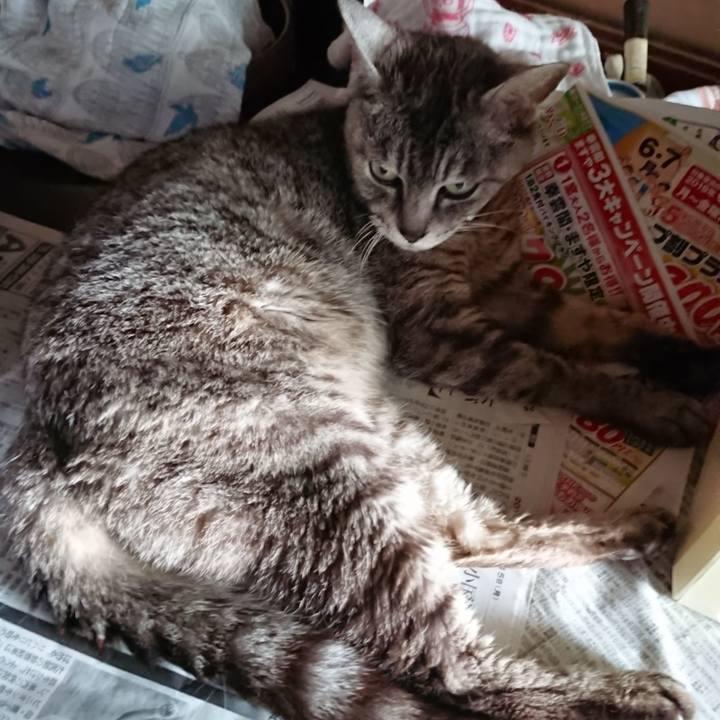 B1e6fdef 00f2 4b9c 9f69 d382f755ff4b 1564563377902