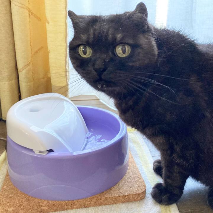 B1e702a3 c782 4bd1 bb18 b330e604ad7b 1589414523604