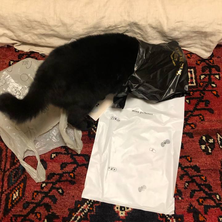 B1e70b0a 49f3 4538 b319 e13422c7bb6e 1565441714247