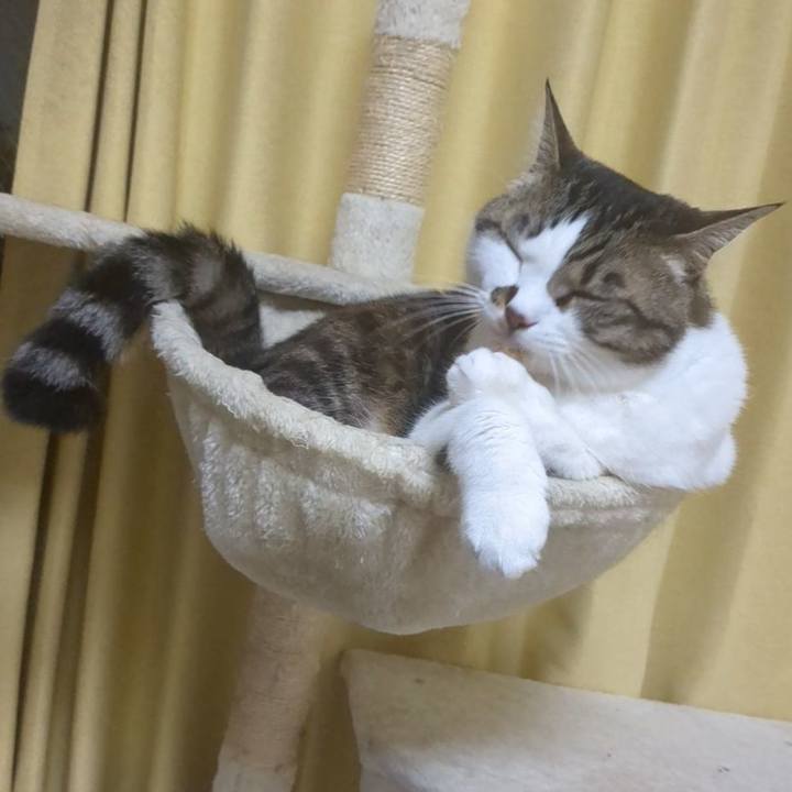 B1e70cab b736 48b9 9a69 5190bc0c6b5f 1712579168437