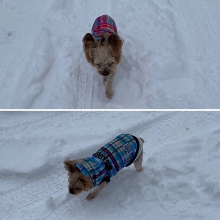 B1e73cfe 08b5 4c24 8c02 7f9405454645 1641549827119