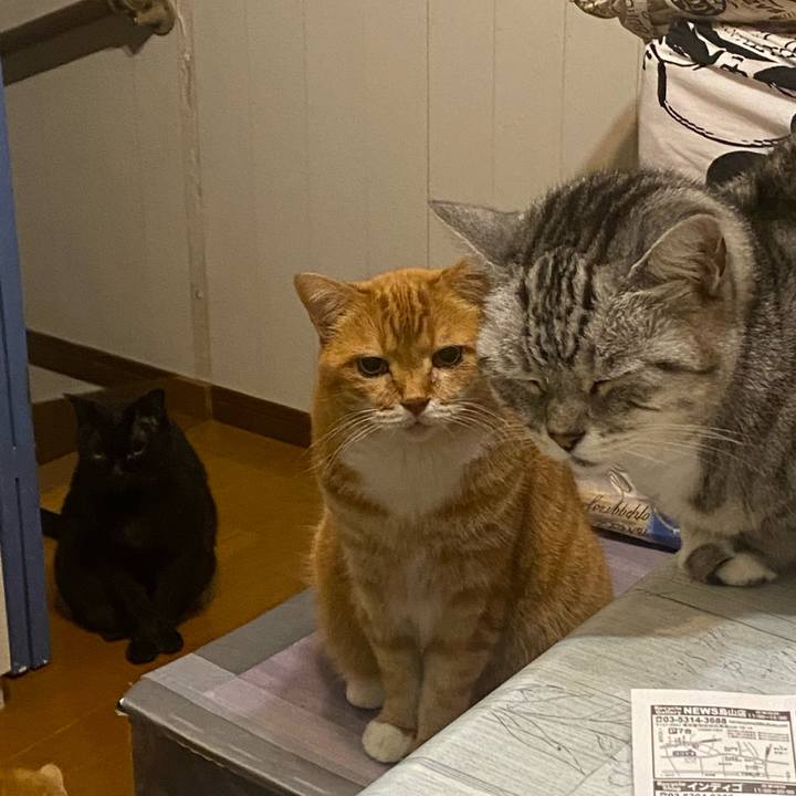 B1e75a9e ede2 4a5a baff 005c7c22f0e7 1669215264895