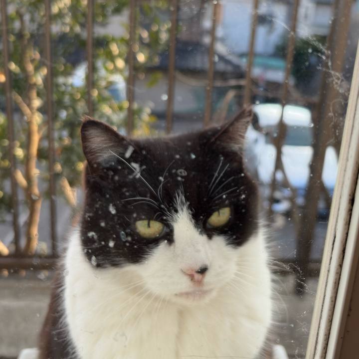 B1e7613c e45b 4a6a a602 33945591d20b 1769238596090