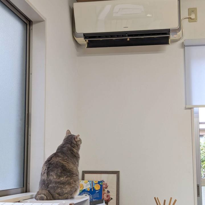 B1e77470 8f46 458d a2c2 23195de35342 1696479147636