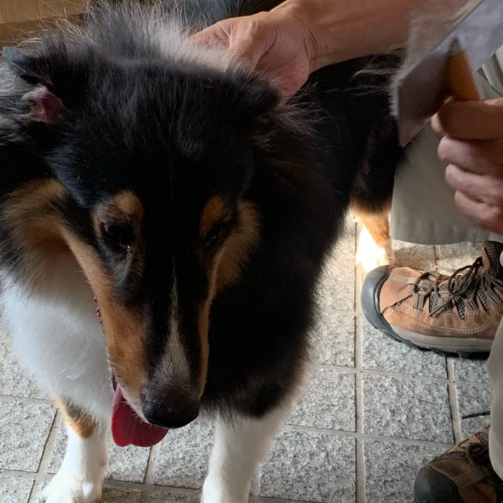 B1e78937 15e7 4294 8da7 247b713f9ba2 1600293930468