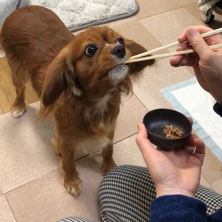 B1e7995f 0431 424a 98e9 88863ac7db78 1544653116543