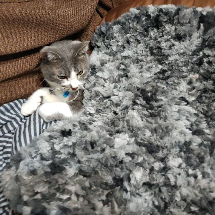 B1e7c551 5185 4819 a566 2560a39af5e7 1670317440295