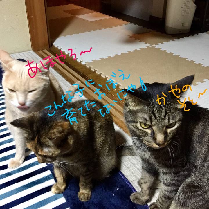 B1e7db62 75c8 4293 9bdb 42ba5741eb43 1528455117802