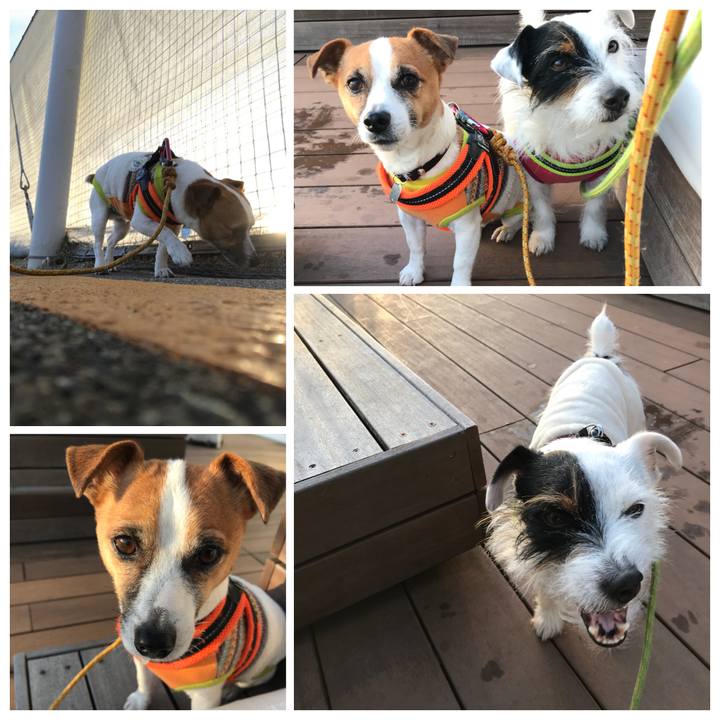 B1e7df3c 9995 4897 be71 4e5fc17fb90d 1515311966011