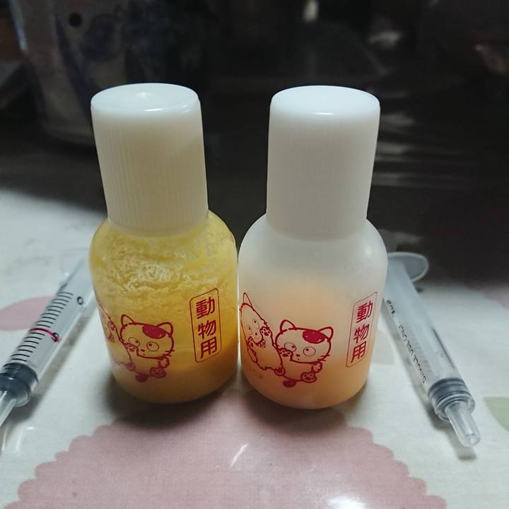 B1e7e60b ef3e 460f 9484 b42c78223720 1628765652300