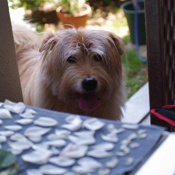 B1e81c5e 3709 451d a5a0 d620100e271d 1589282529376