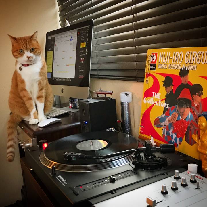 B1e8744f d0c7 45c0 bfb1 8ae479e5344c 1509779913399