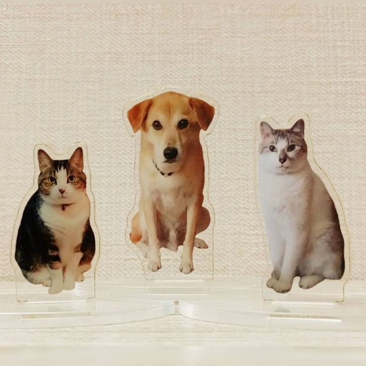 B1e914bb d7e1 4f04 a14c 4c93ade77bd9 1737769277402