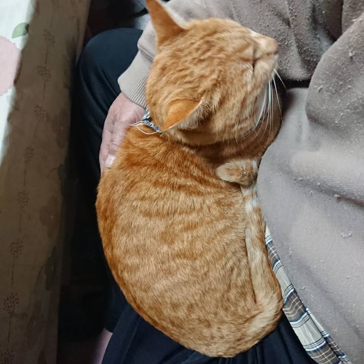 B1e9459c 9187 4cf0 b424 7662c9354e9e 1574330720175