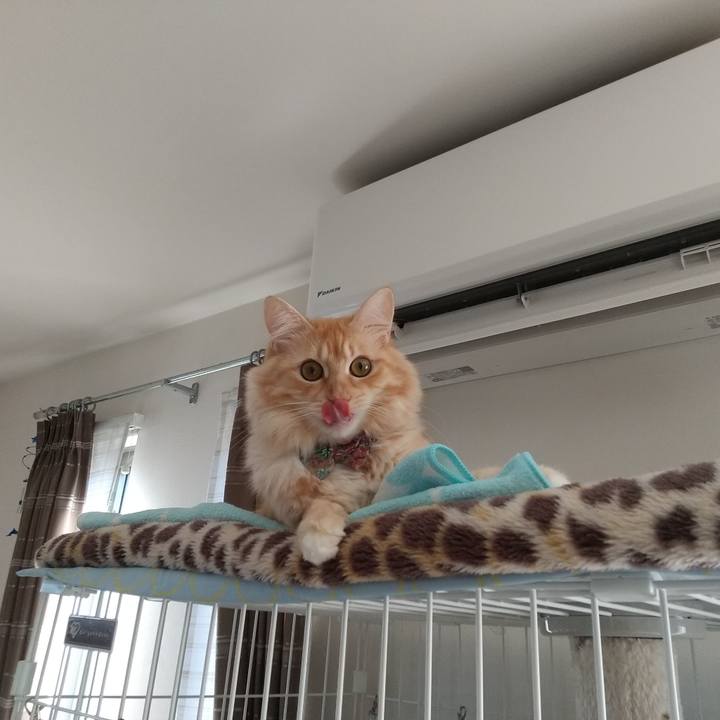 B1e9465a 8ec5 4785 8d5b a0887ce676f0 1638069459898