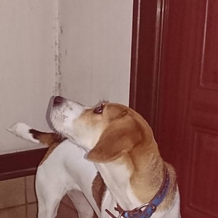 B1e97f91 0138 46ce 9af5 c8bbaab7e012 1574826235947