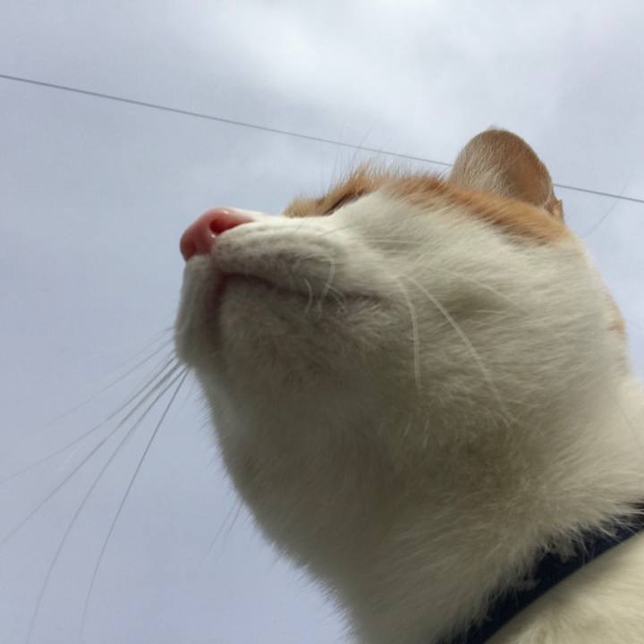 B1e9af29 8e6b 4575 a4e5 e25b83894176 1513477460682