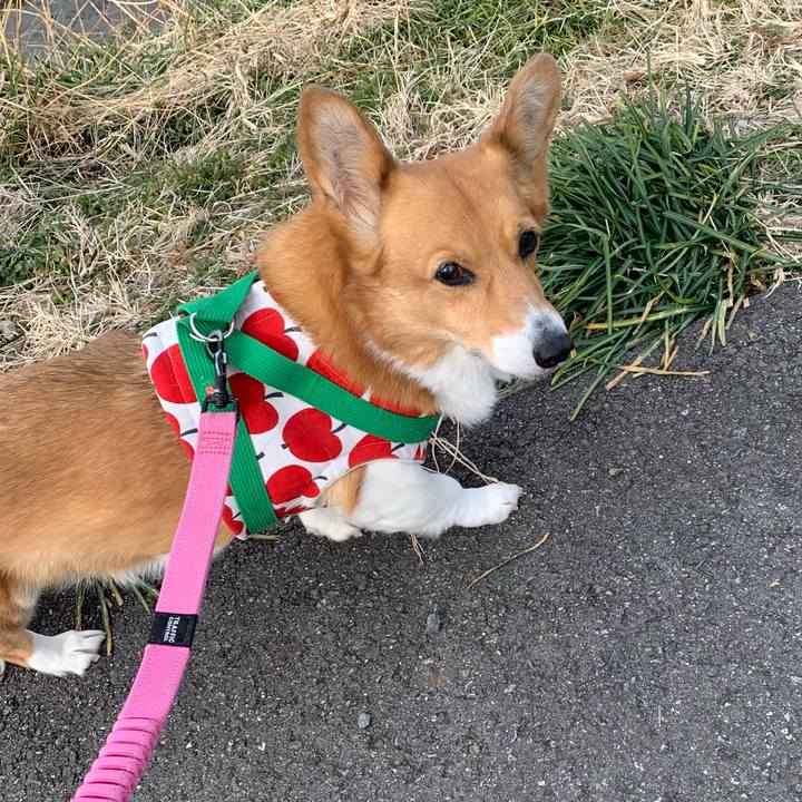 B1e9af32 7d7e 49a5 a6e5 8cf115e9b670 1707969502866