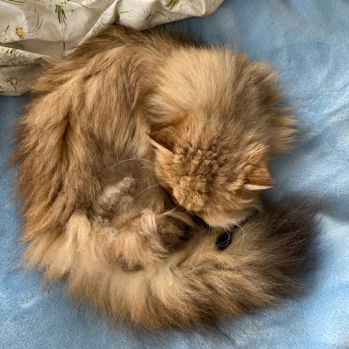 B1e9cc47 96cf 4122 a0e5 b073cd00355f 1590015257421