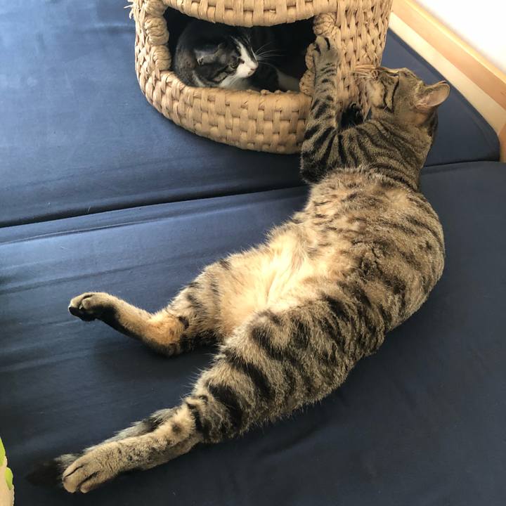 B1e9d7cc 6da0 4ee1 b126 69676a93c19e 1528612579079