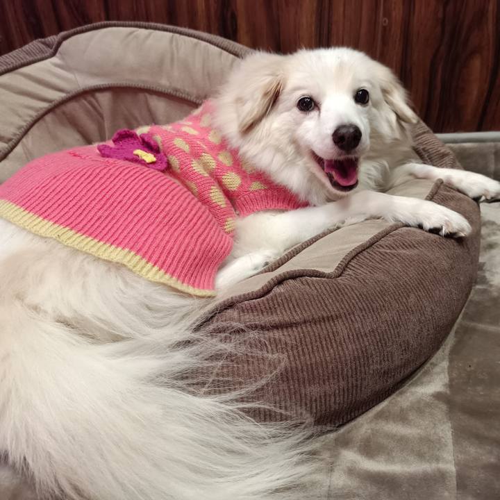 B1e9e366 2eb9 447a 961a 8c75c53a7761 1706355703266