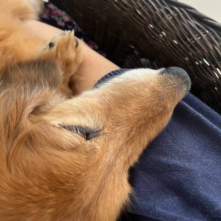 B1ea0783 a515 4525 9092 bcaf15fd47db 1656763980013