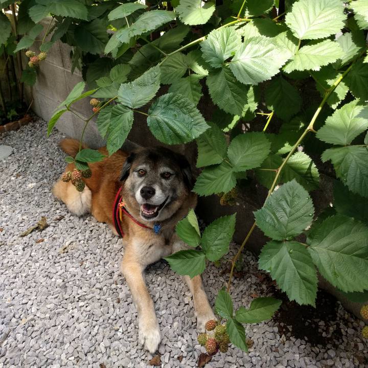 B1ea085c 9ffc 482a a882 a9441f1a3dfa 1529369157665