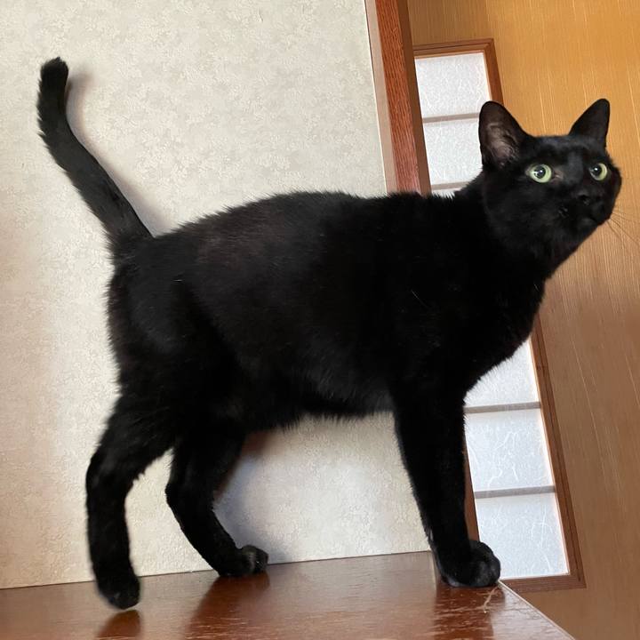 B1ea298d a114 466f a5da ff36c60c9f3b 1635817148848