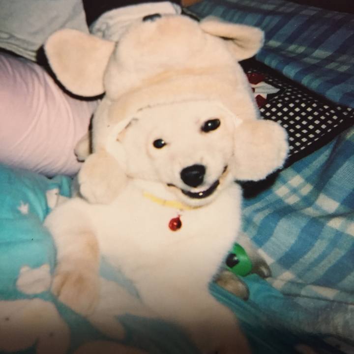 B1ea67c9 ea99 4e51 80f7 93437e787bf7 1515590883131