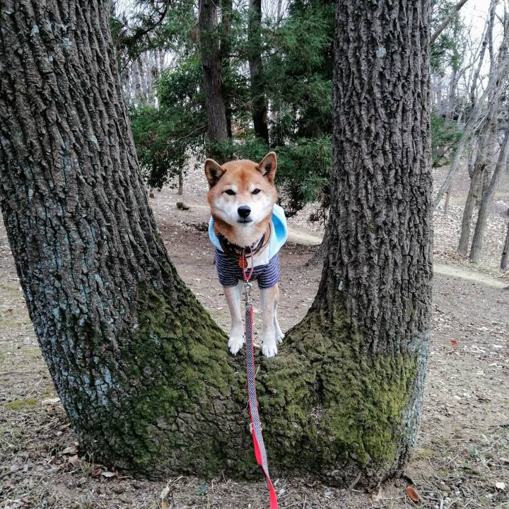 B1ea6c39 7015 4e15 ba6b a1cbe3f5da96 1609829178476