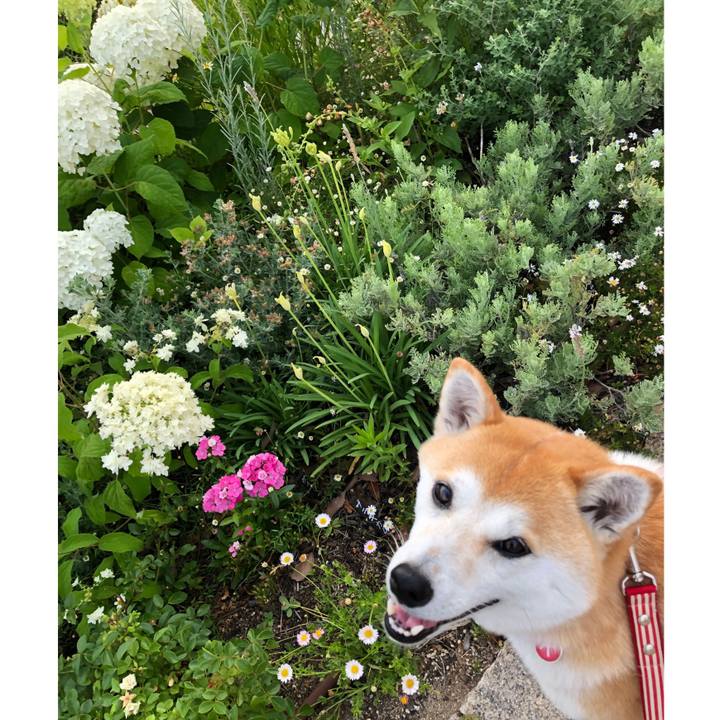 B1ea89db a45b 4483 b1fd e71224af6e11 1561358199227