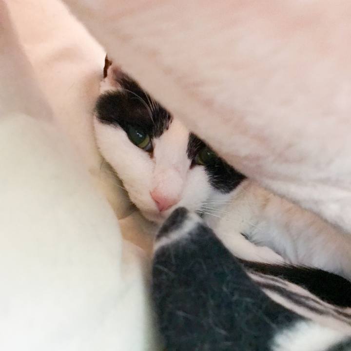 B1eaddc8 c649 4605 bd8a 2564919083a3 1525186030884