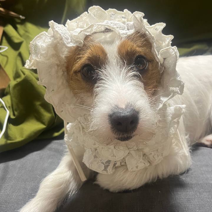 B1eb289f e8c1 497f 8706 c7fd808ba1be 1774401407946