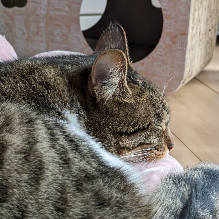 B1eb7d5e a85d 4d95 b4aa 1d520c91d36e 1701832670135