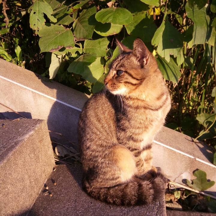 B1eb9899 532e 47f6 ac49 4f1e33320e8a 1509408266002