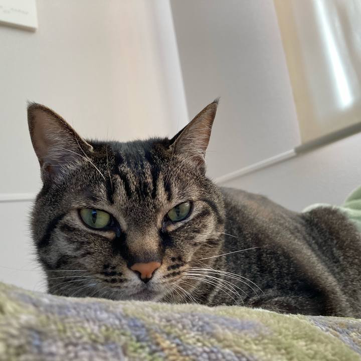 B1ebba97 f314 4169 a7aa c659917d9876 1649143433591