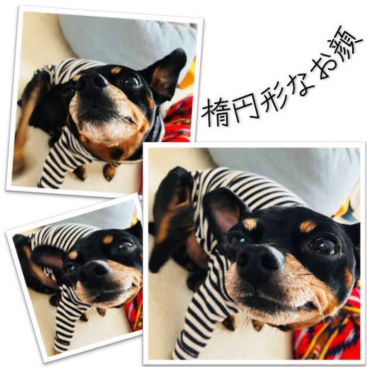 B1ebc5f2 f20f 433d 9cbe 22cf1d108b2a 1731065564138