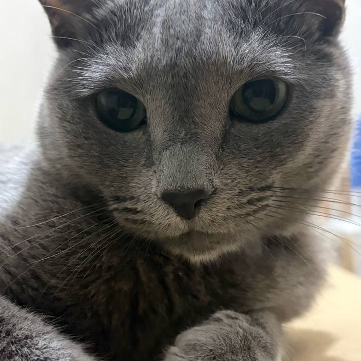 B1ebccd8 ee13 47b2 88ac 190ac821461b 1759213422640