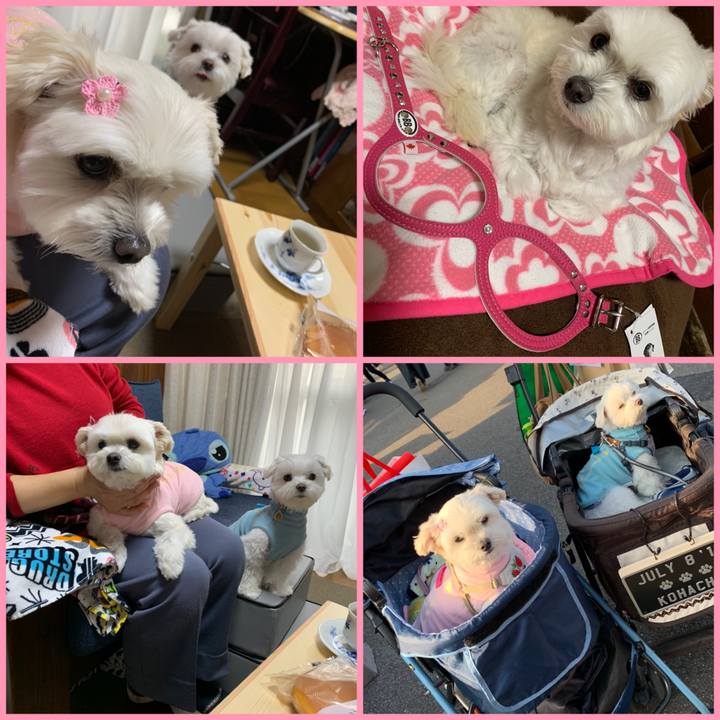 B1ec0b9b 07d6 43cd 8305 6bcbc0cdd429 1639307304203