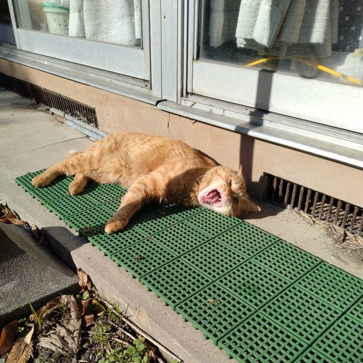 B1ec13c5 71e0 465e 9552 8977f2d1c0a5 1669621730663