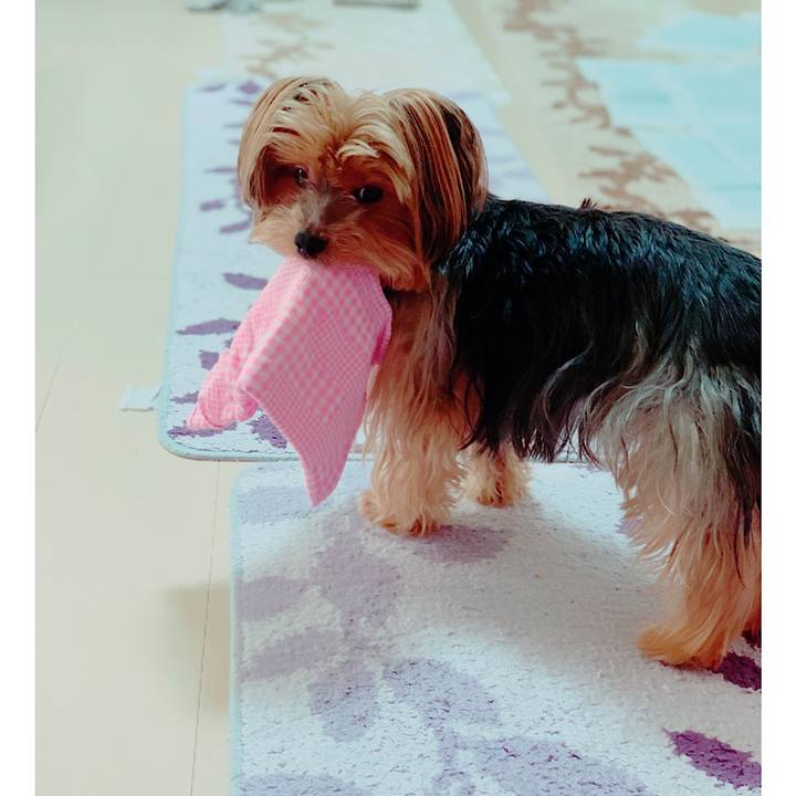 B1ec2db8 5b11 463d 884b a328128156e5 1567755984970