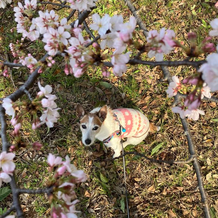 B1ec2ddb eb43 478d 923a 2d1f18f8d39e 1711844927279