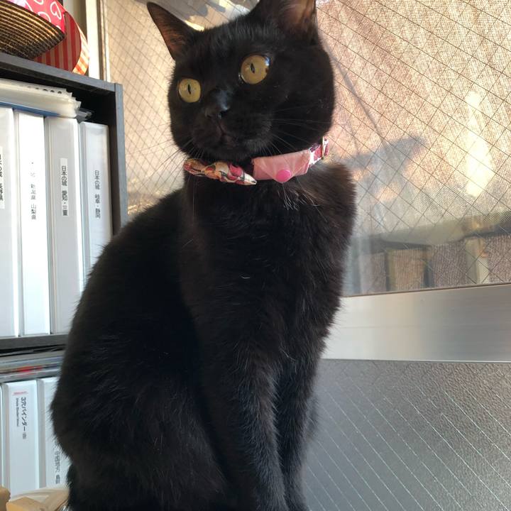 B1ec34c1 4251 439c a6b7 1d15fcec1696 1603927182837