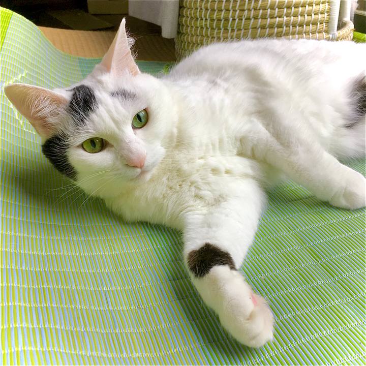 B1ecc65c 4213 4fcd b3fd 7e1fd1d5e7e7 1597730689343