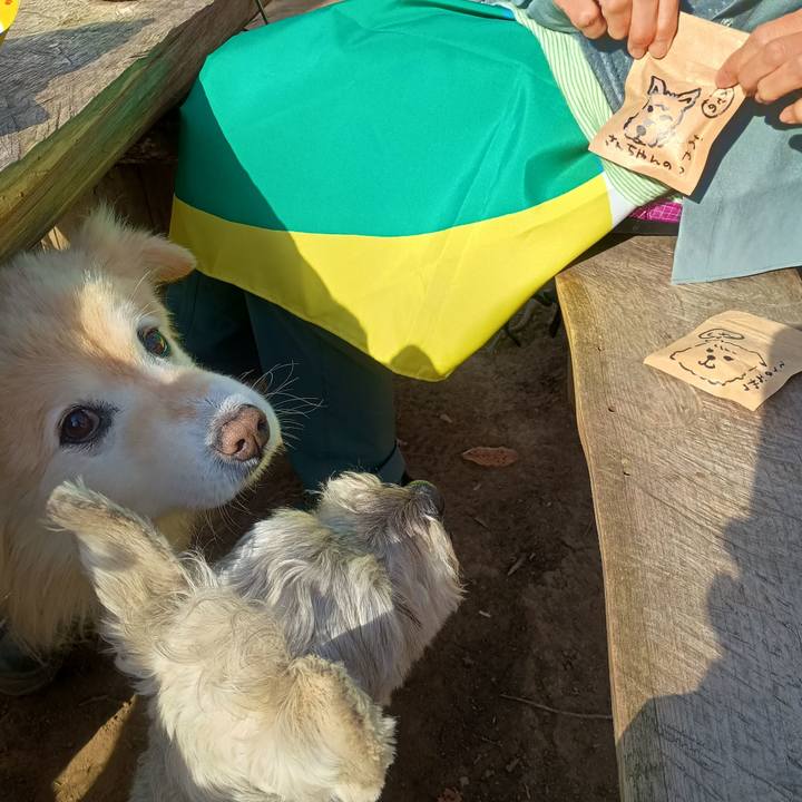 B1ecd4bf 8ce8 4bee a8d2 9bb5217b8360 1765713324304