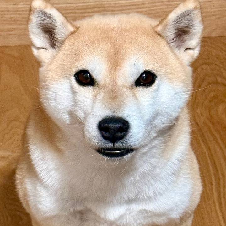 B1ed39d9 2e41 4291 a973 0afa570c35ea 1766381393385