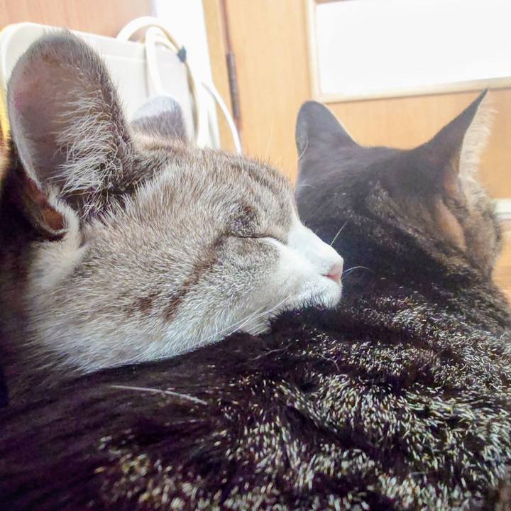 B1ed93e6 b7d1 4943 aa5a 3f74cf76c28c 1767319601961