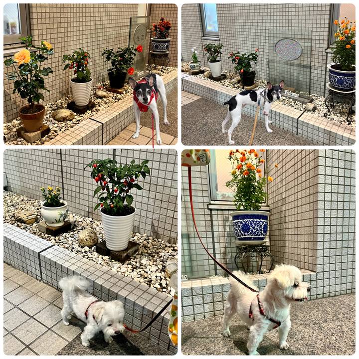 B1edabc6 604d 4f3d b5ca 5a4fbbf36769 1662774023417