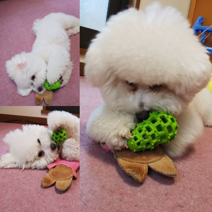 B1edba8a 2e5c 4fa6 b0c2 04157af42c80 1524990138666