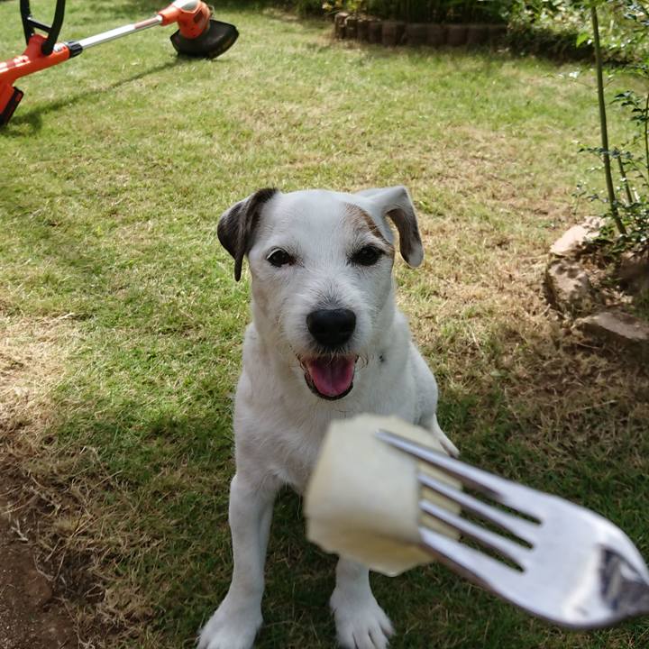 B1edd685 4ddd 427c b296 57cfcde72810 1534295141108